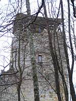 Neuville sur Ain, Chateau de Thol, Tour ouest (04)